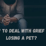How to deal with grief of losing a pet?