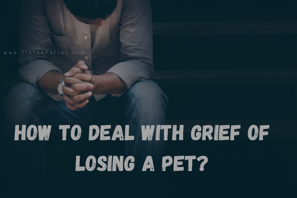 How to deal with grief of losing a pet?