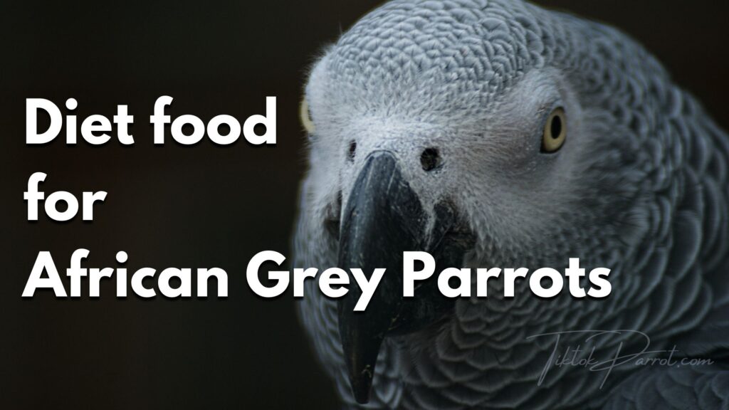 Diet food for African Grey Parrots