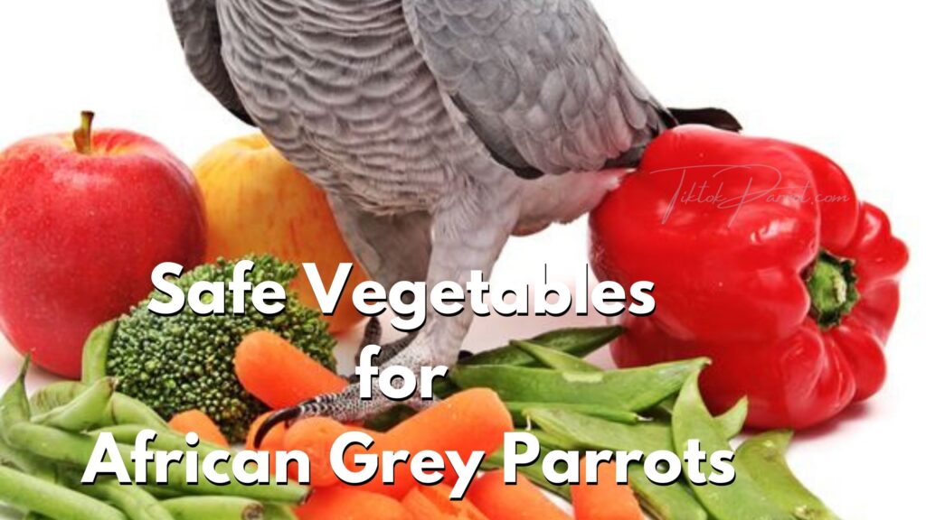 Safe Vegetables for African Grey Parrots