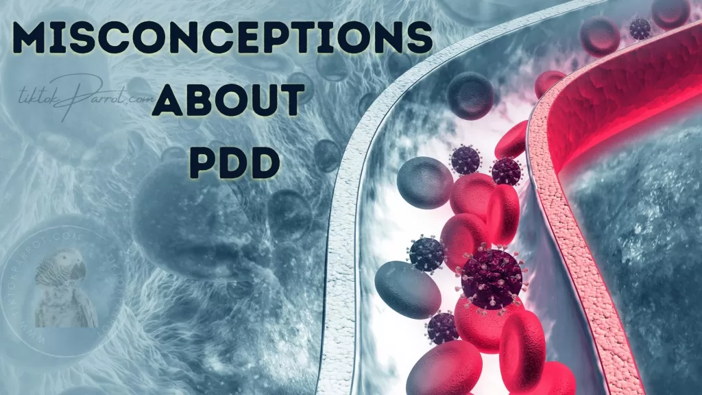 Misconceptions about PDD