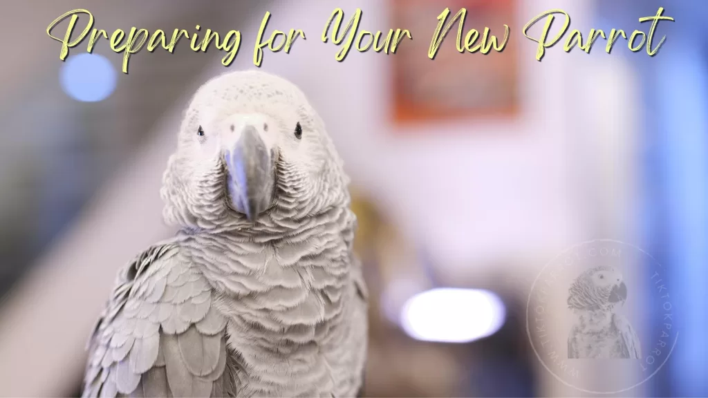 Preparing for Your New Parrot