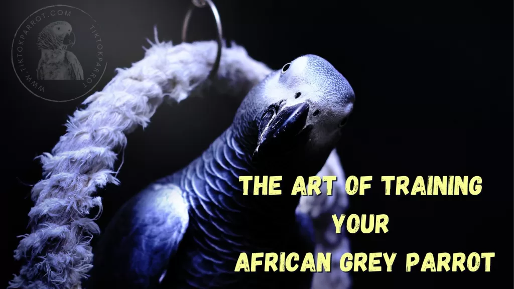 The Art of Training Your African Grey Parrot