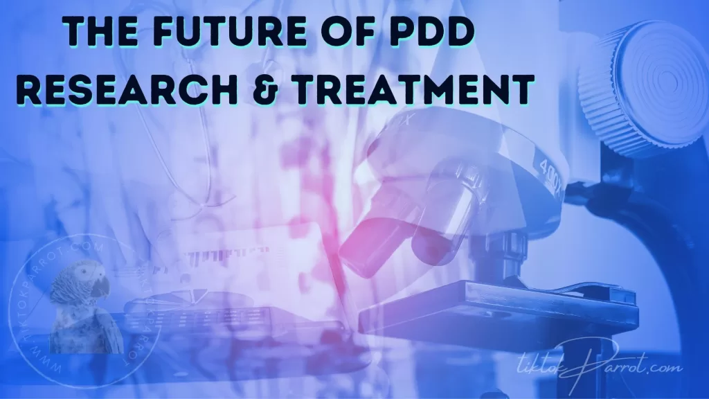 The Future of PDD Research and Treatment