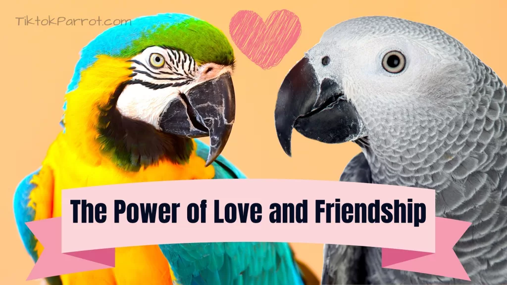 The Battle of the Birds: African Grey Parrot vs Macaw