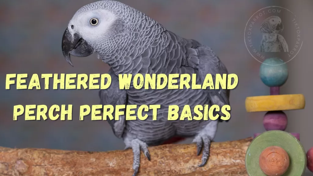 Feathered Wonderland, Perch Perfect Basics for parrots