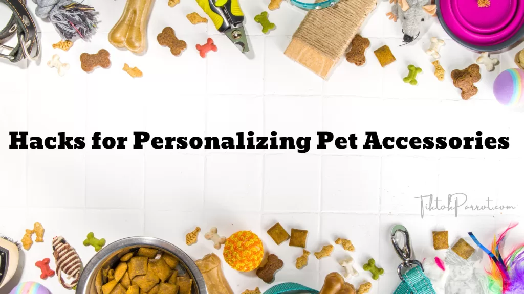 Hacks for Personalizing Pet Accessories