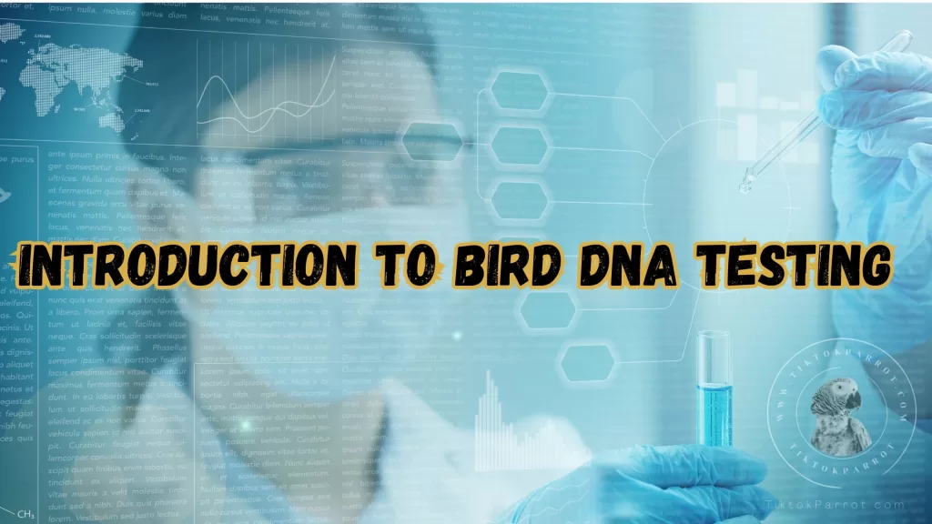 Introduction to Bird DNA Testing
