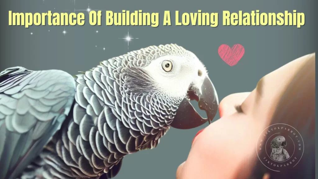 Importance Of Building A Loving Relationship