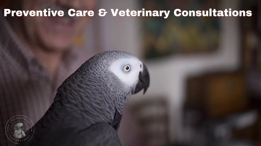 Preventive Care & Veterinary Consultations