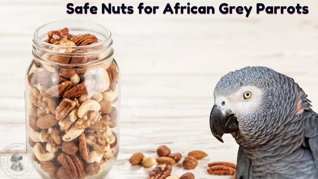 Safe Nuts for African Grey Parrots