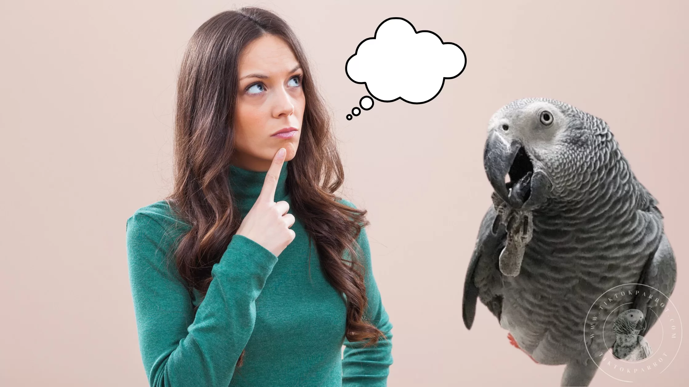 Why do parrots bite their nails?