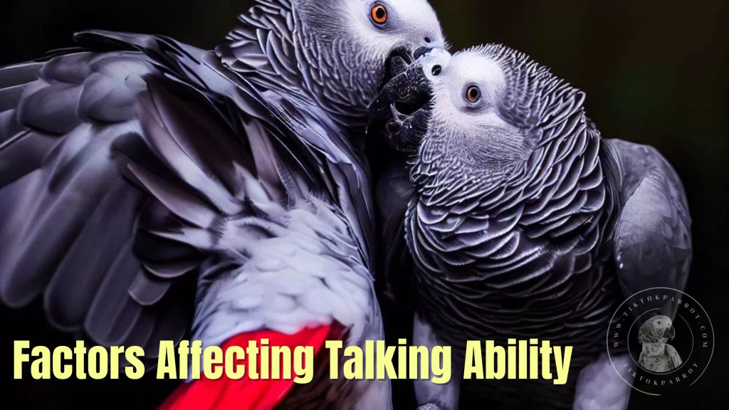 Factors Affecting Talking Ability of African Grey Parrots