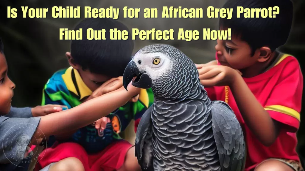 Is Your Child Ready for an African Grey Parrot Find Out the Perfect Age Now!