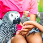 Is Your Child Ready for an African Grey Parrot Find Out the Perfect Age Now!