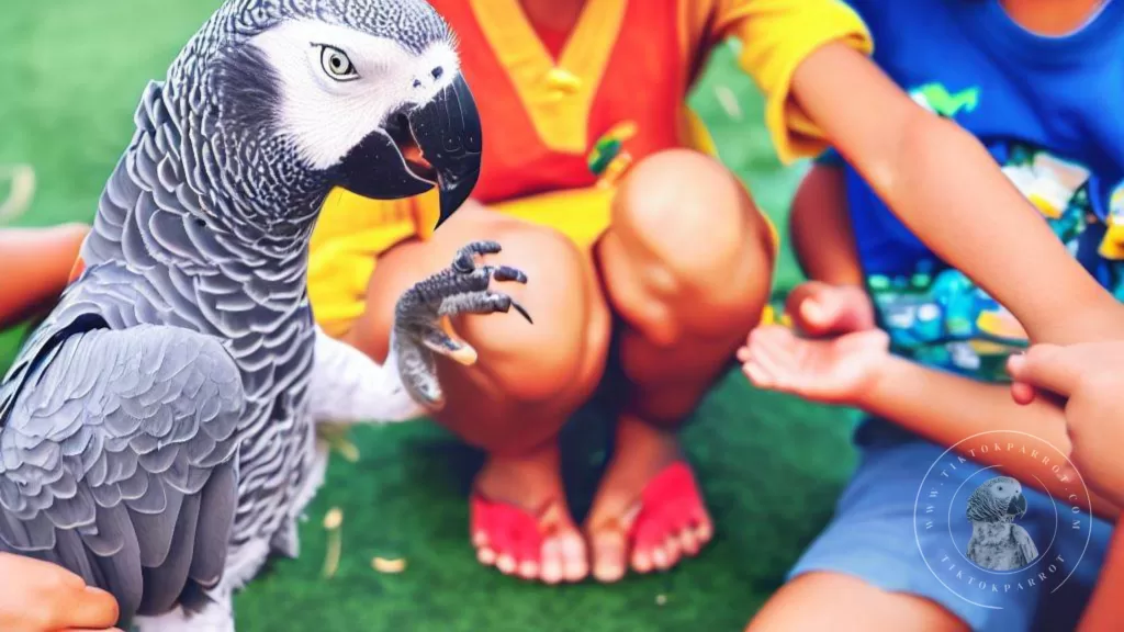 The Best Age for Children to Live with an African Grey Parrot