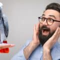 Image showcasing Stages of Development of an African Grey Parrot